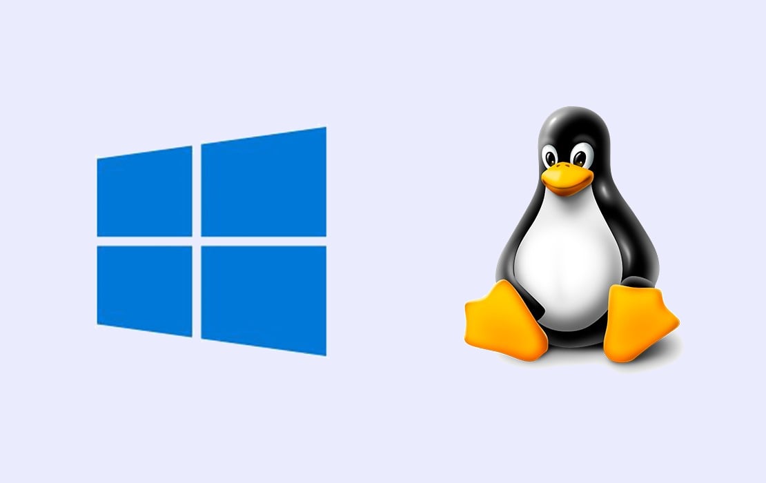 windows linux