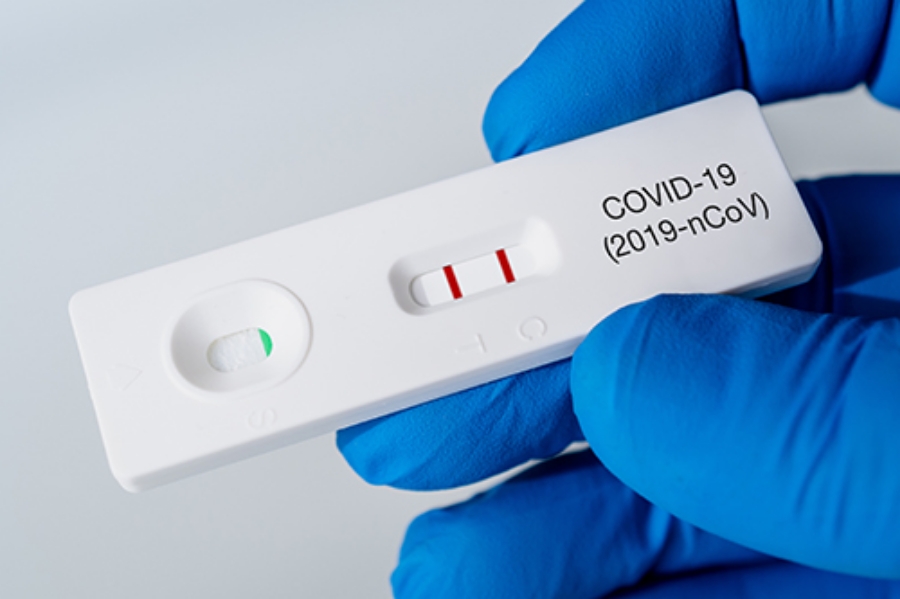 covid rapid test