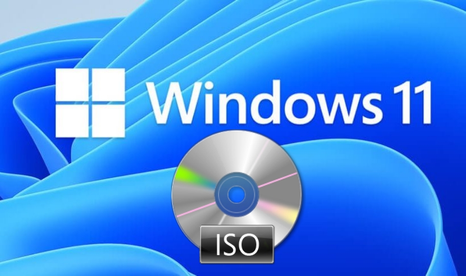 windows 11 iso