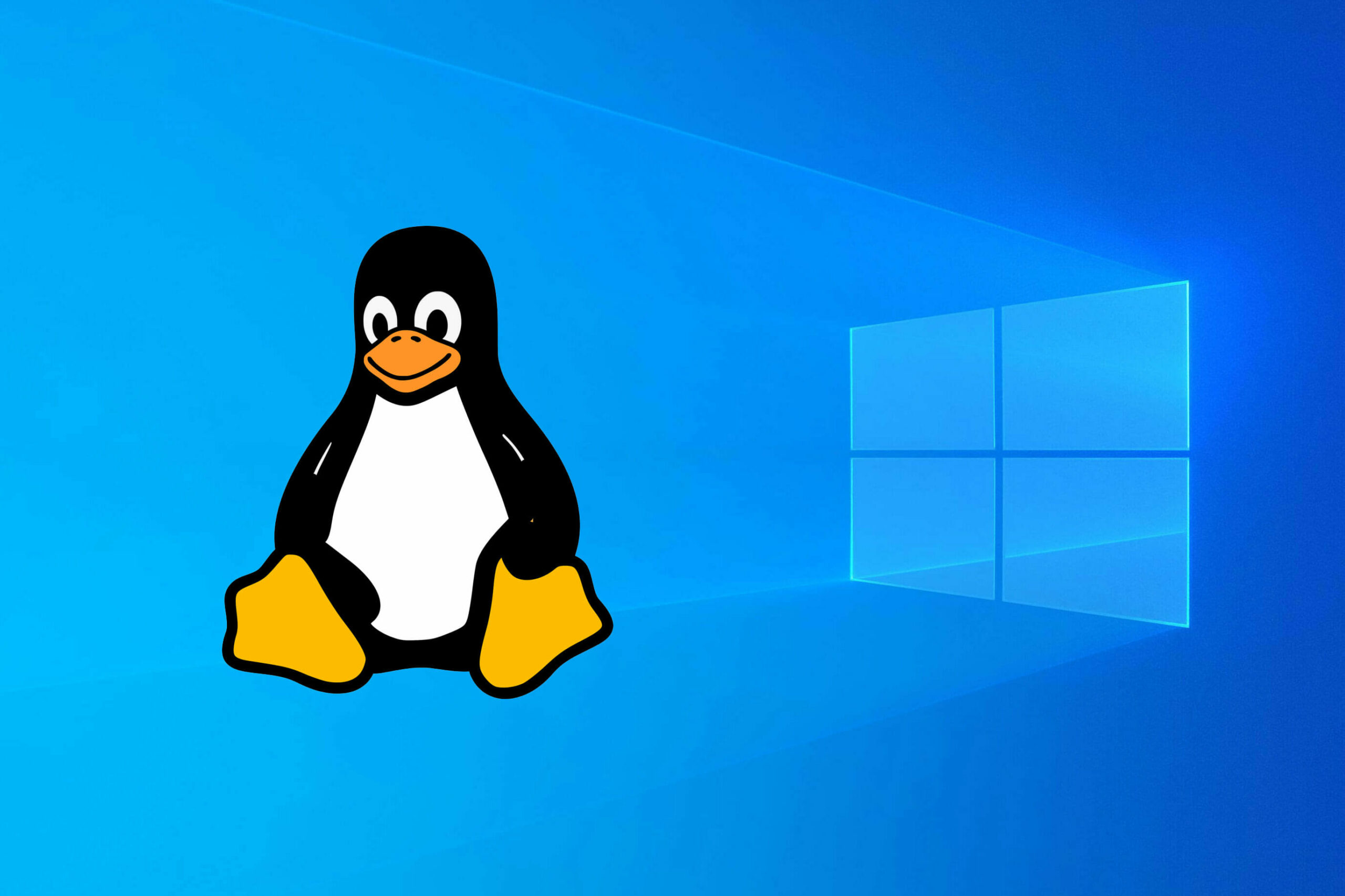 windows linux