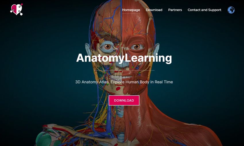 anatomylearning