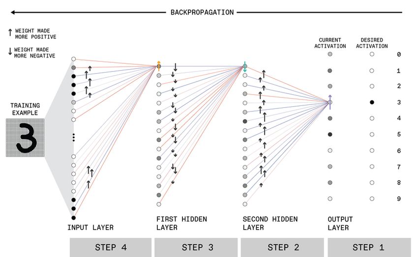 neurons deep learning 2