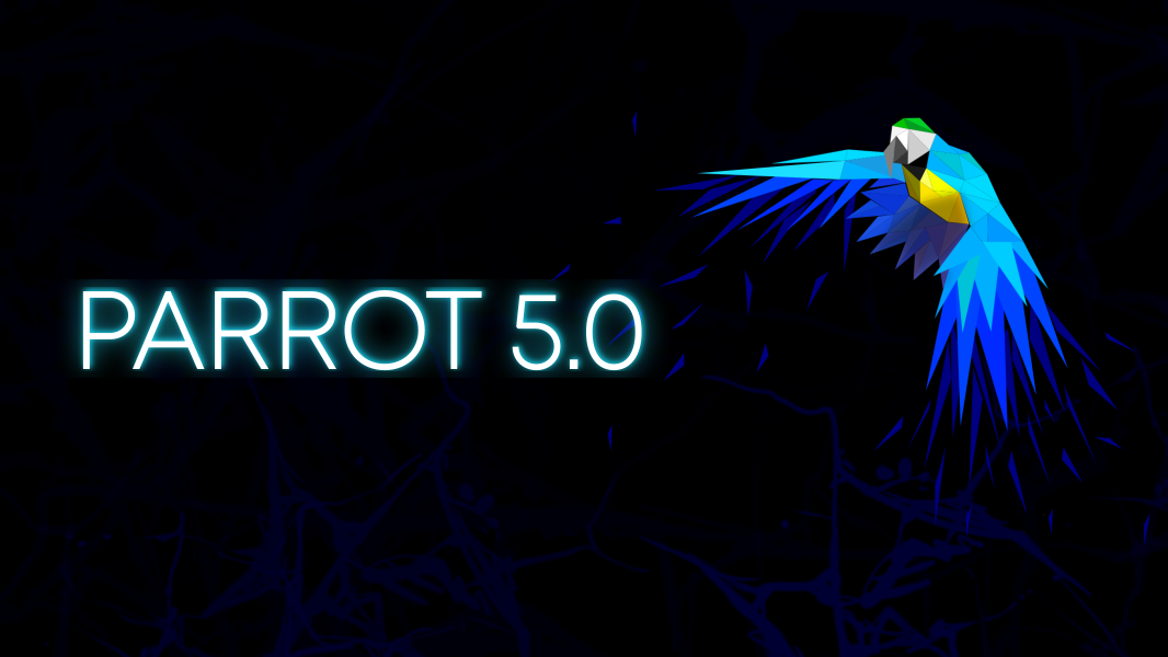 parrot51