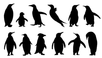 penguins