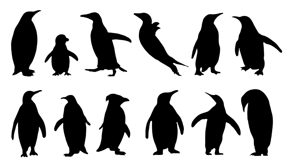 penguins