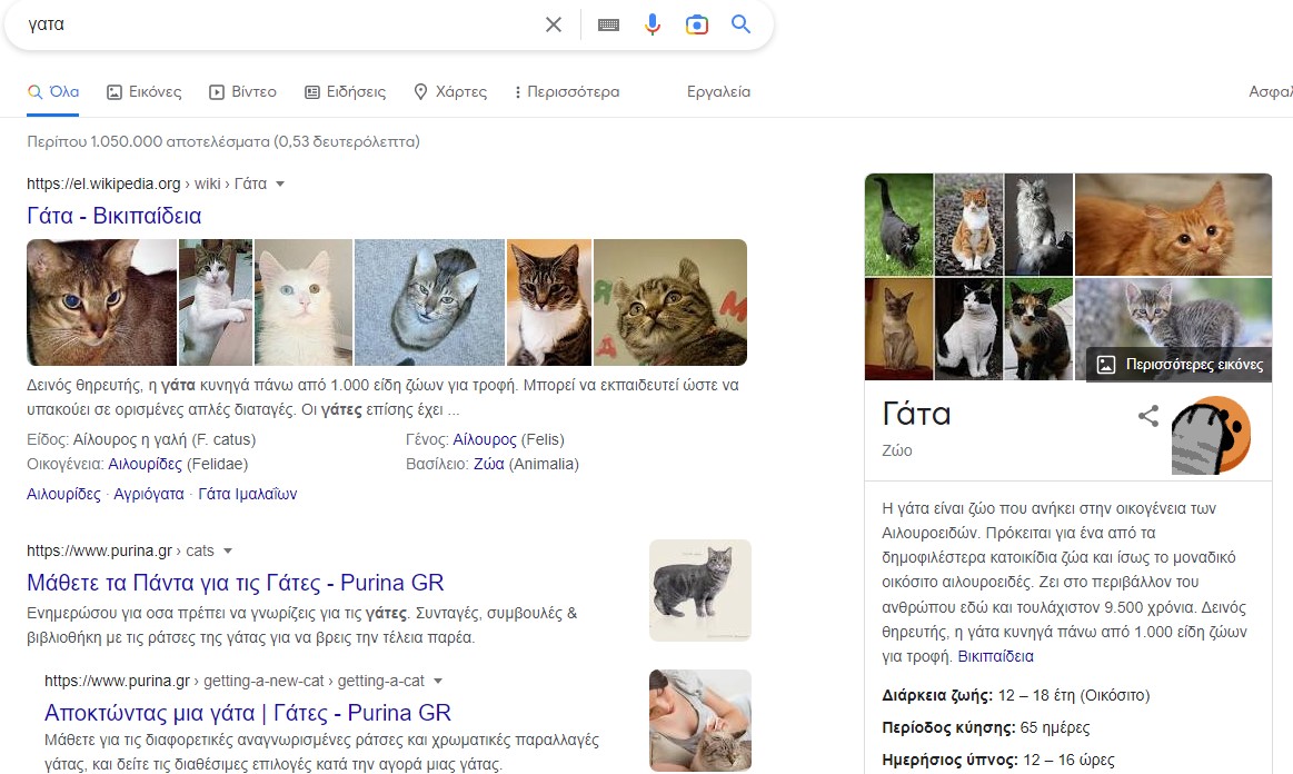 cat neko dog google