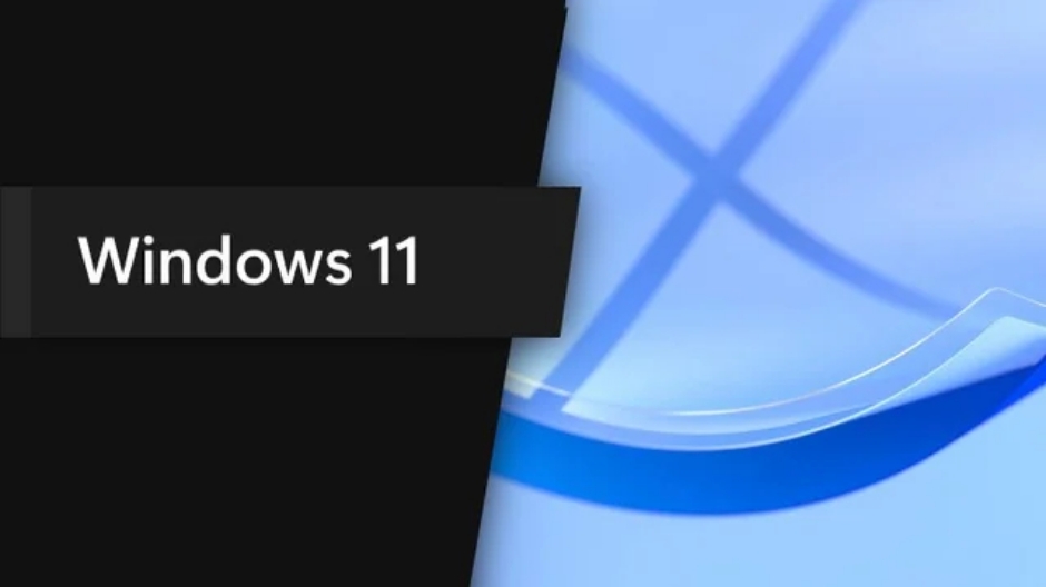 windows 11 ltsc