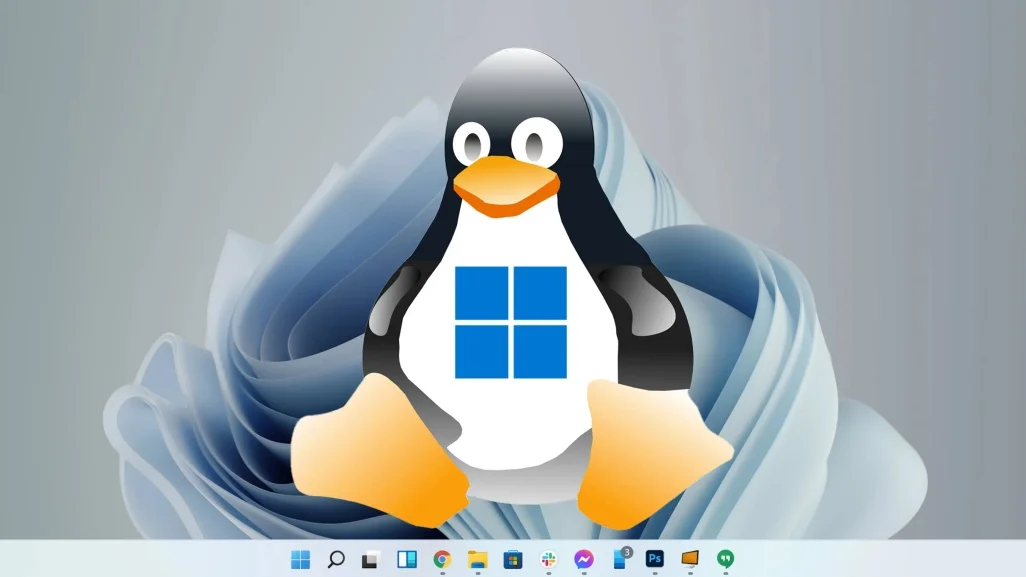 windows linux jpg