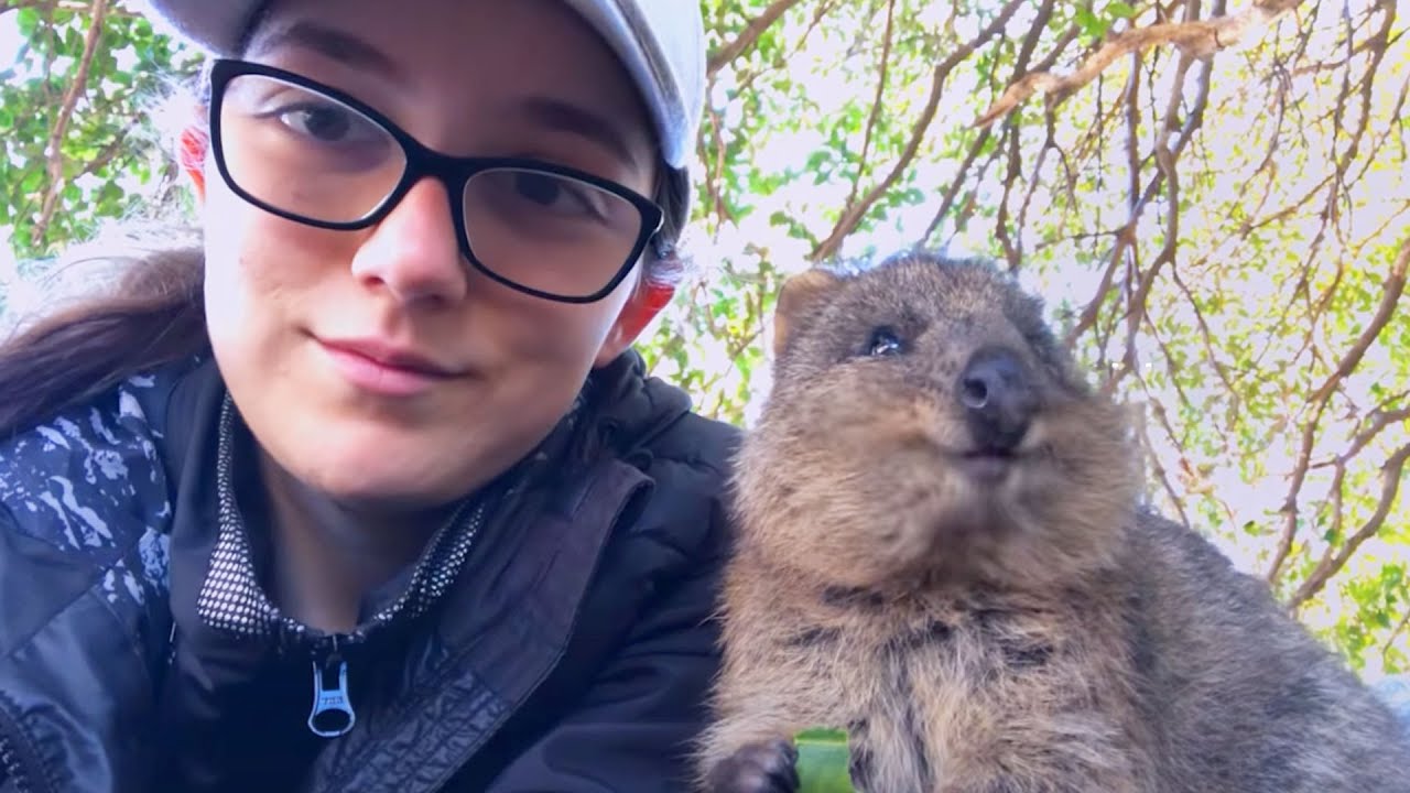 How do you pronounce anemone? Practice with Google Search