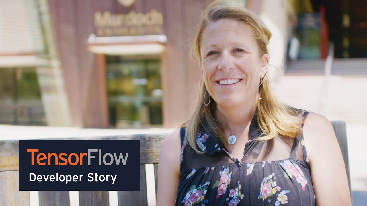 TensorFlow: Machine Learning for Everyone