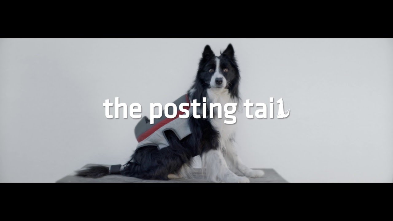 Pedigree “The Posting Tail"