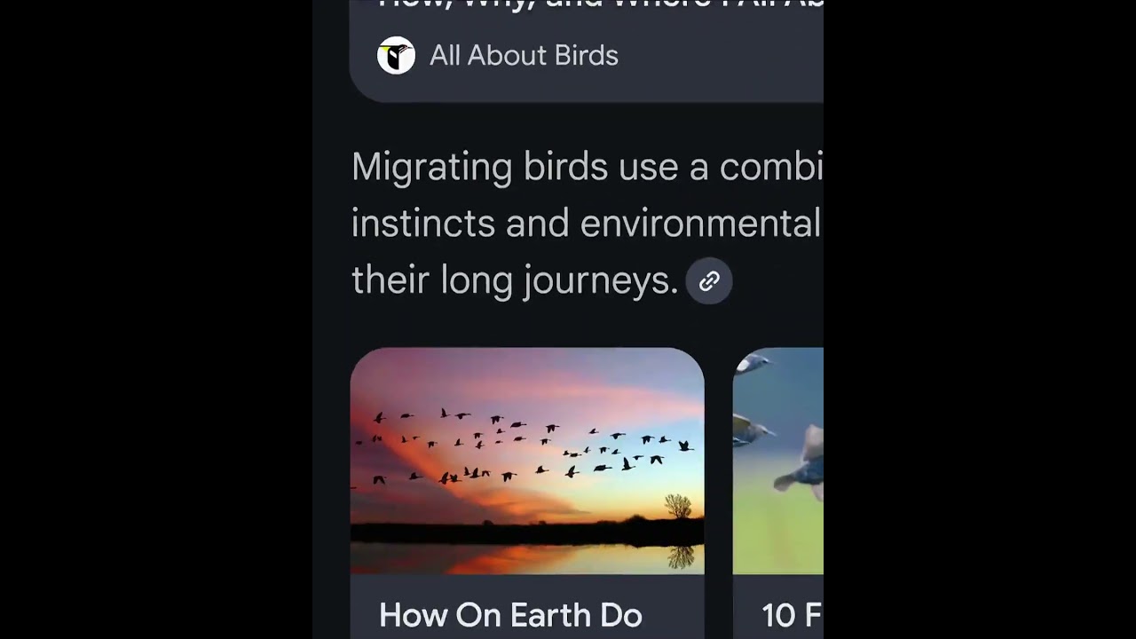 AI MODE ASK ANYTHING