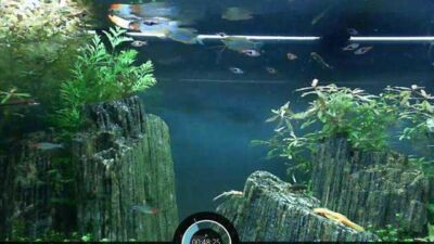 aquardio interactive