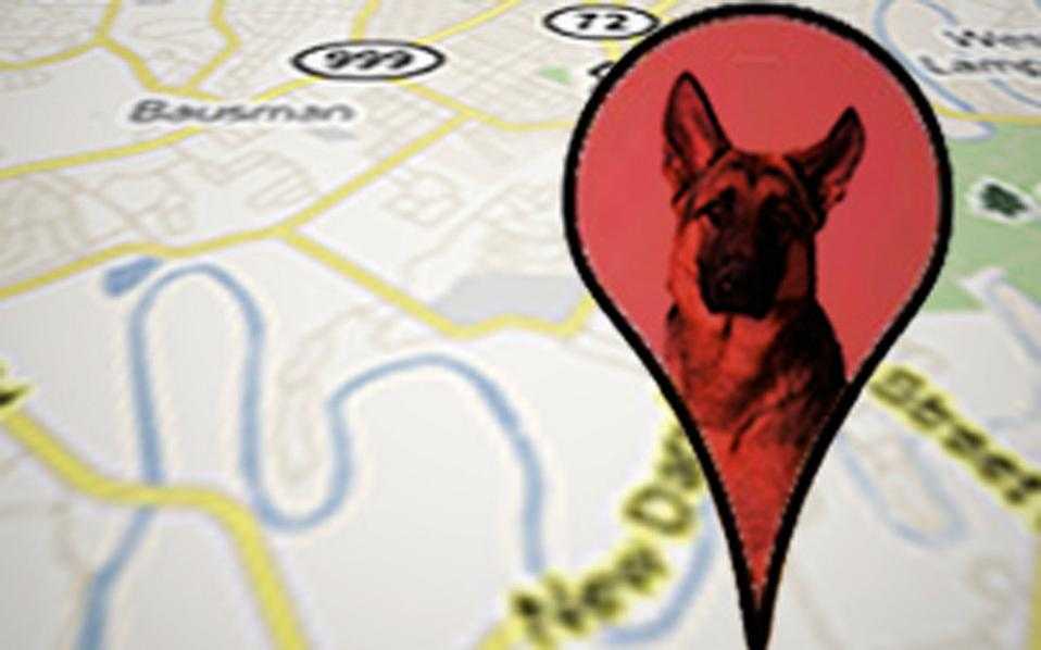 google-maps-dog-gps