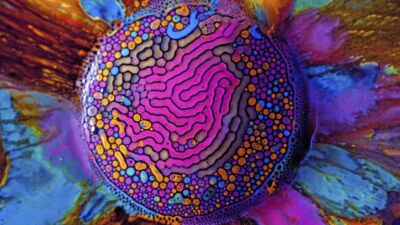 oefner millefiori 07