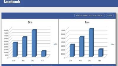 Fake Voting Facebook