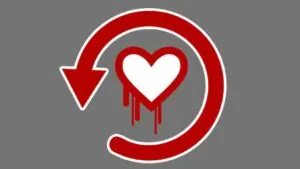 Heartbleed
