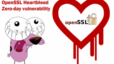 OpenSSL Heartbleed vulnerability