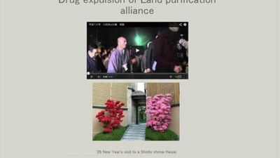 iaponia giakouza istoselida