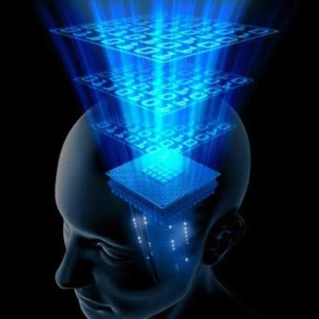 Neurogrid