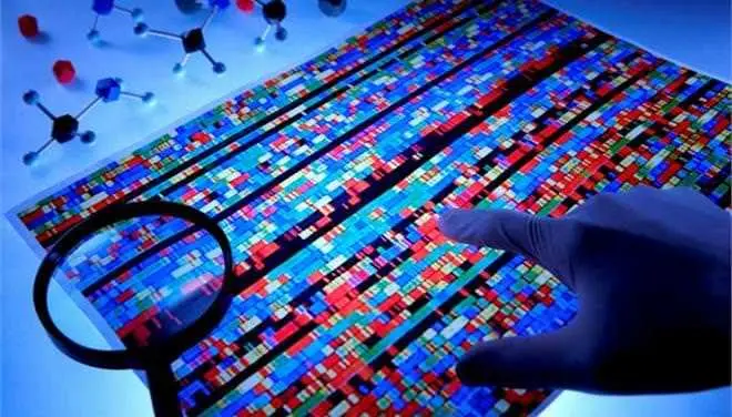 dna