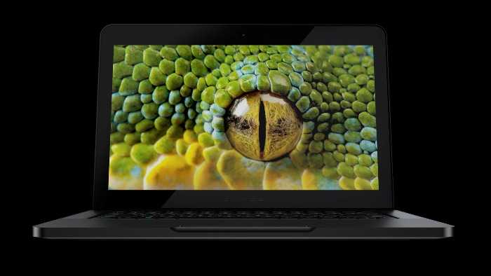 razer