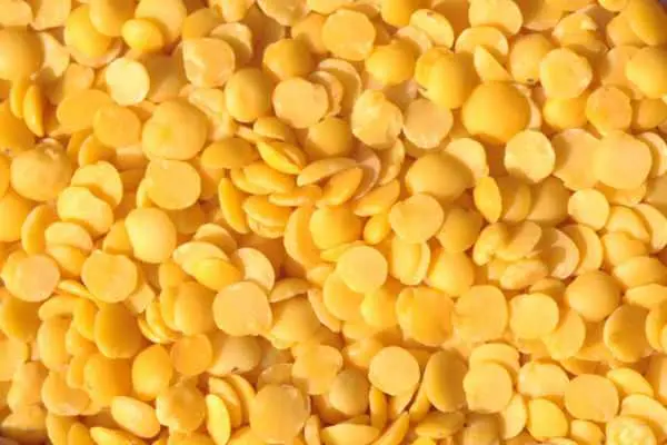 obama lentils