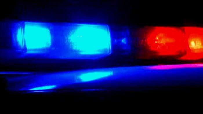 police lights RINA RINA