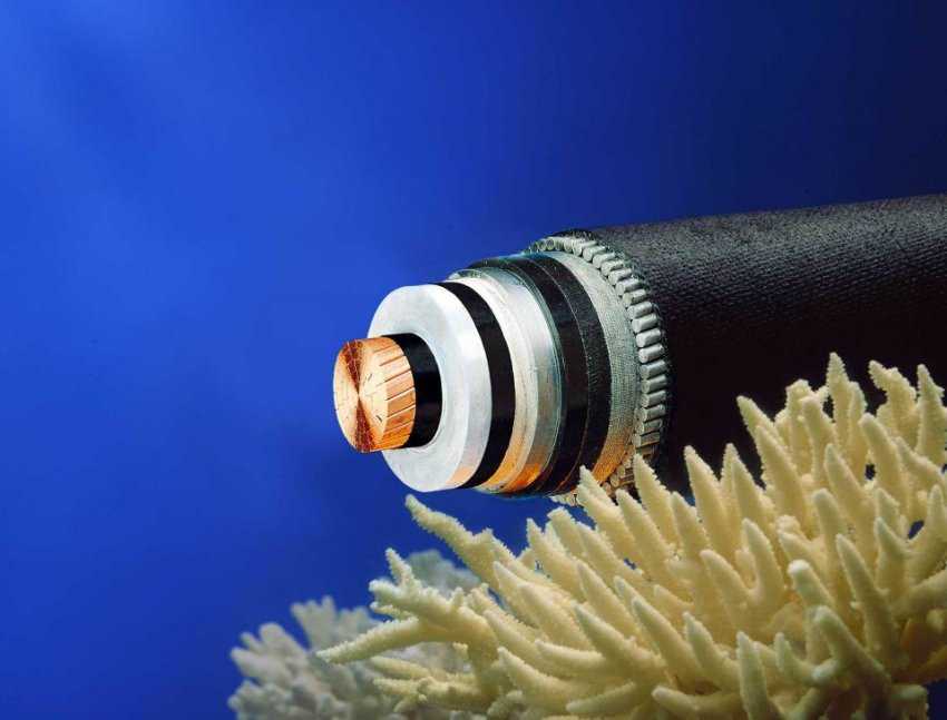 cable Microsoft Facebook