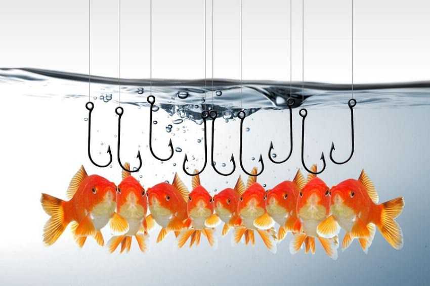 phishing passwords