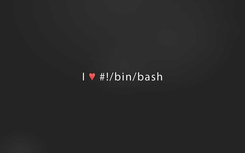 bin bash