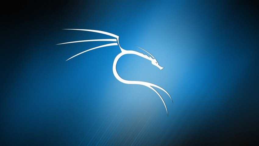 kali linux