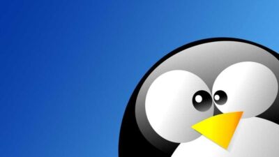 Linux Μάιος 2020 γιατί μεγάλωσε η υιοθέτηση;