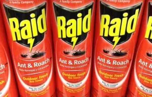 RAID