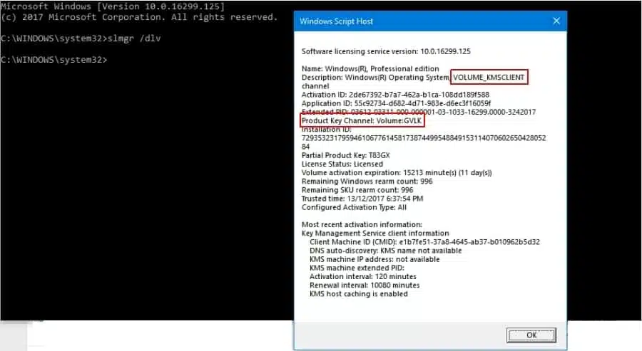 windows 10