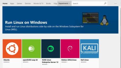 Windows 10 wsl