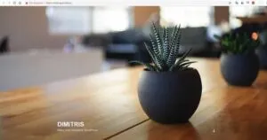 Wordpress