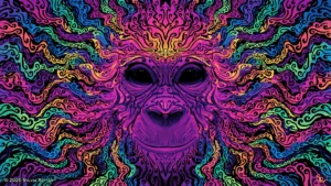 de2mhos 5617f7d9 9f35 4a3e a0a0 4098bcfd97f5 jpg