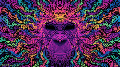 de2mhos 5617f7d9 9f35 4a3e a0a0 4098bcfd97f5 jpg