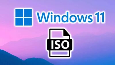 windows 11 iso