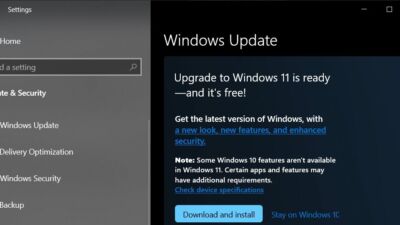 windows 11 update
