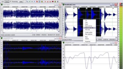 wavosaur multiple view