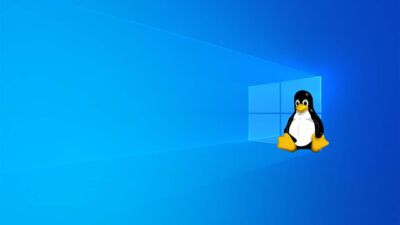 windows10 linux