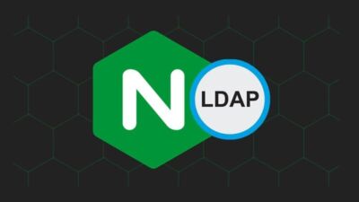 nginx ldap