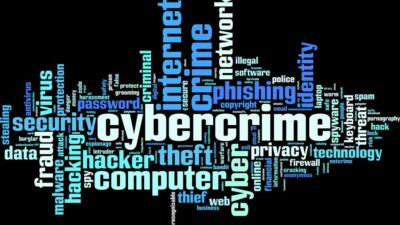 cyber crime