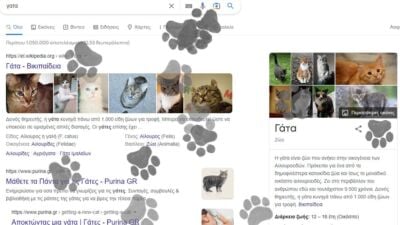 cat neko dog google 2