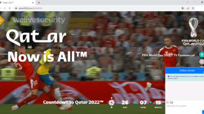 fake copy of the official website