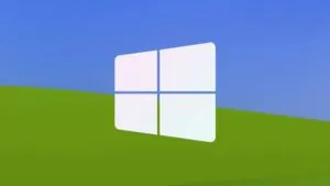 windows 10 2c