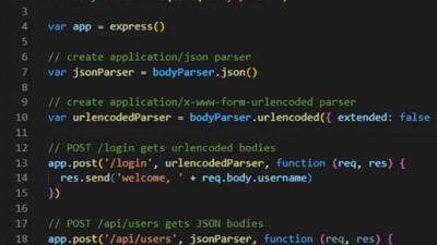 body parser expressjs