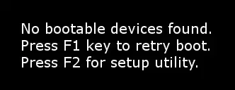 no bootable devices